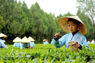 基根-穆雷：球队出色的防守贯穿了全场 若三分投开我们将很危险